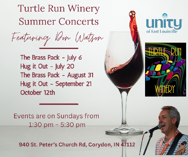 Turtle Run concert graphic